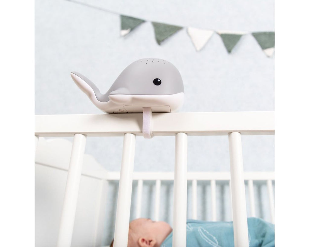 Wally Grey Zazu Kids Nightlight