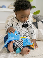 Baby Einstein - Jucarie senzoriala de plus Octopus