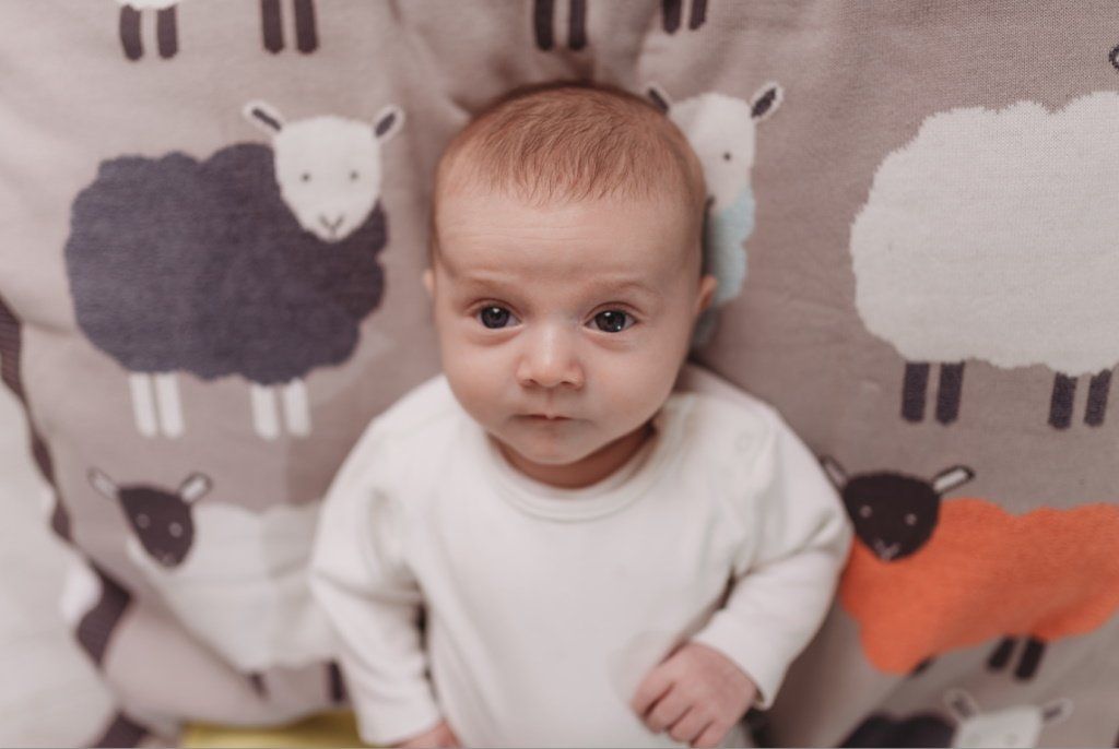 Knitted Cotton Blanket with Grey Sheep