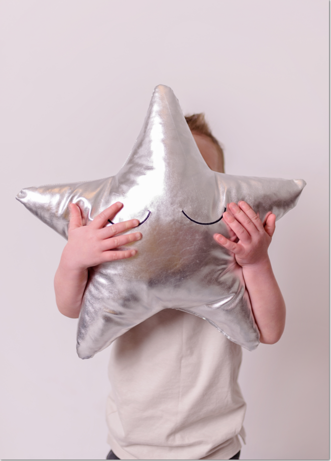 Silver Star Decorative Pillow