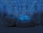 Otto - Musical Projector with Moving Waves