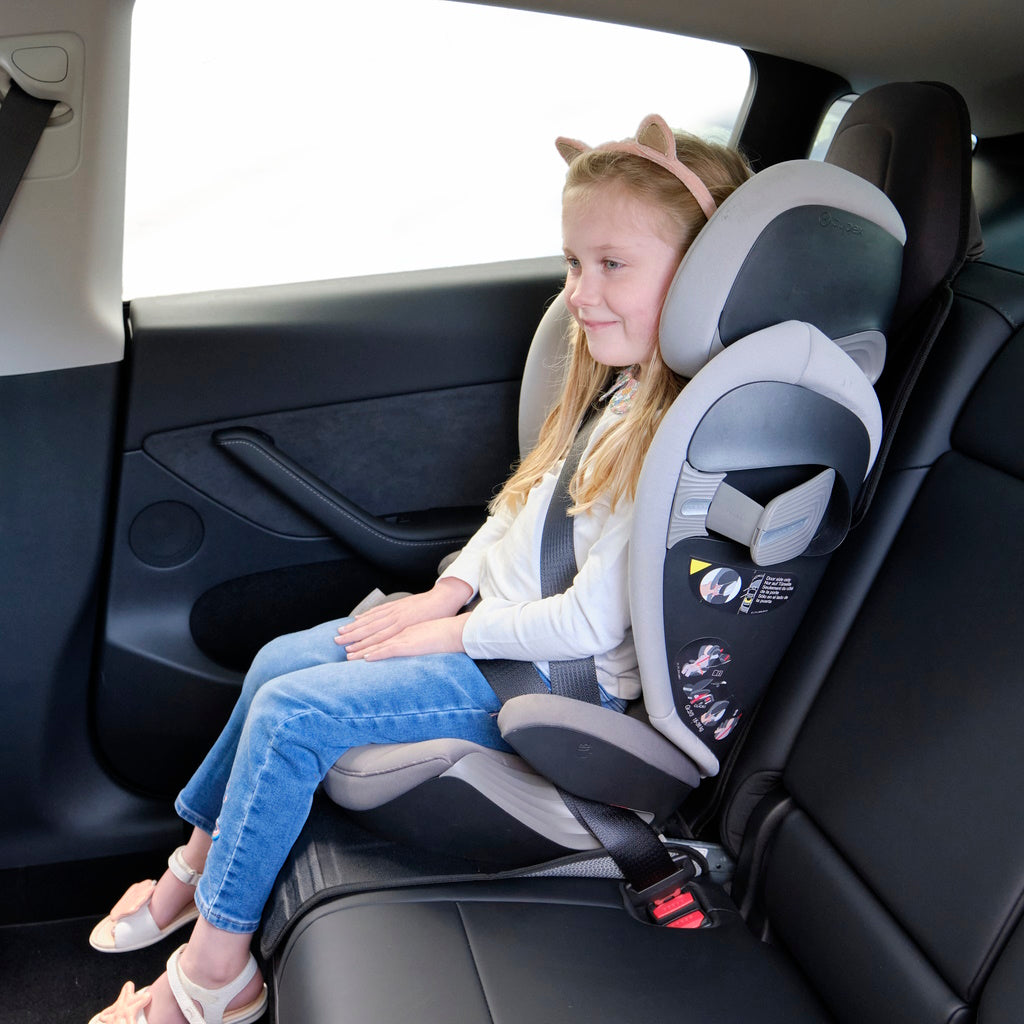 Tesla Black Car Seat Protector