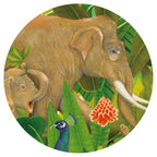 Puzzle galerie Ascuns in natura, Djeco