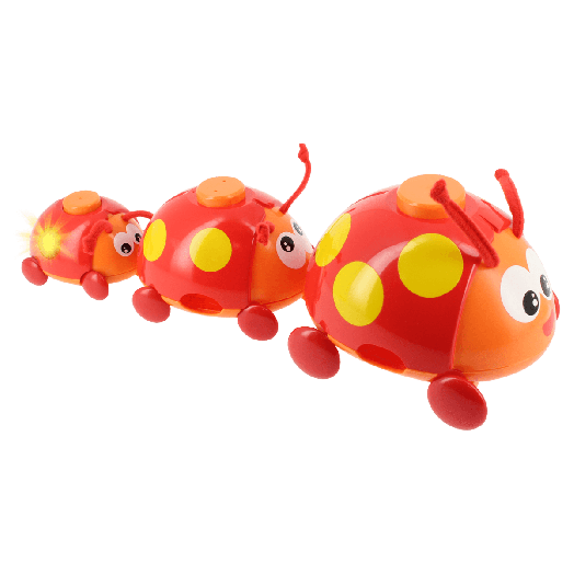 Ladybugs 3 in 1