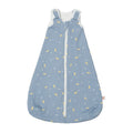 Sac de Dormit Ergobaby Clasic Stellar 0-6 luni, 1 Tog