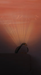 Shally Sunset Musical Projector