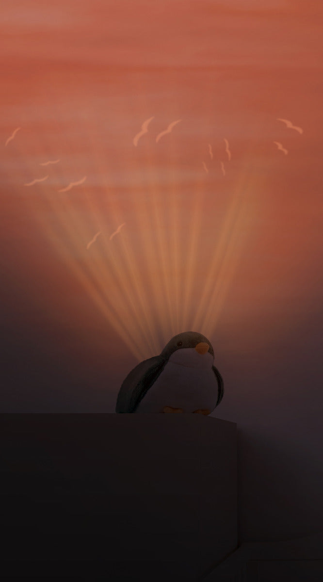 Shally Sunset Musical Projector