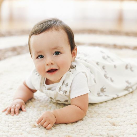 Sac de Dormit Ergobaby Clasic Elephant 0.5 Tog 0-6 luni