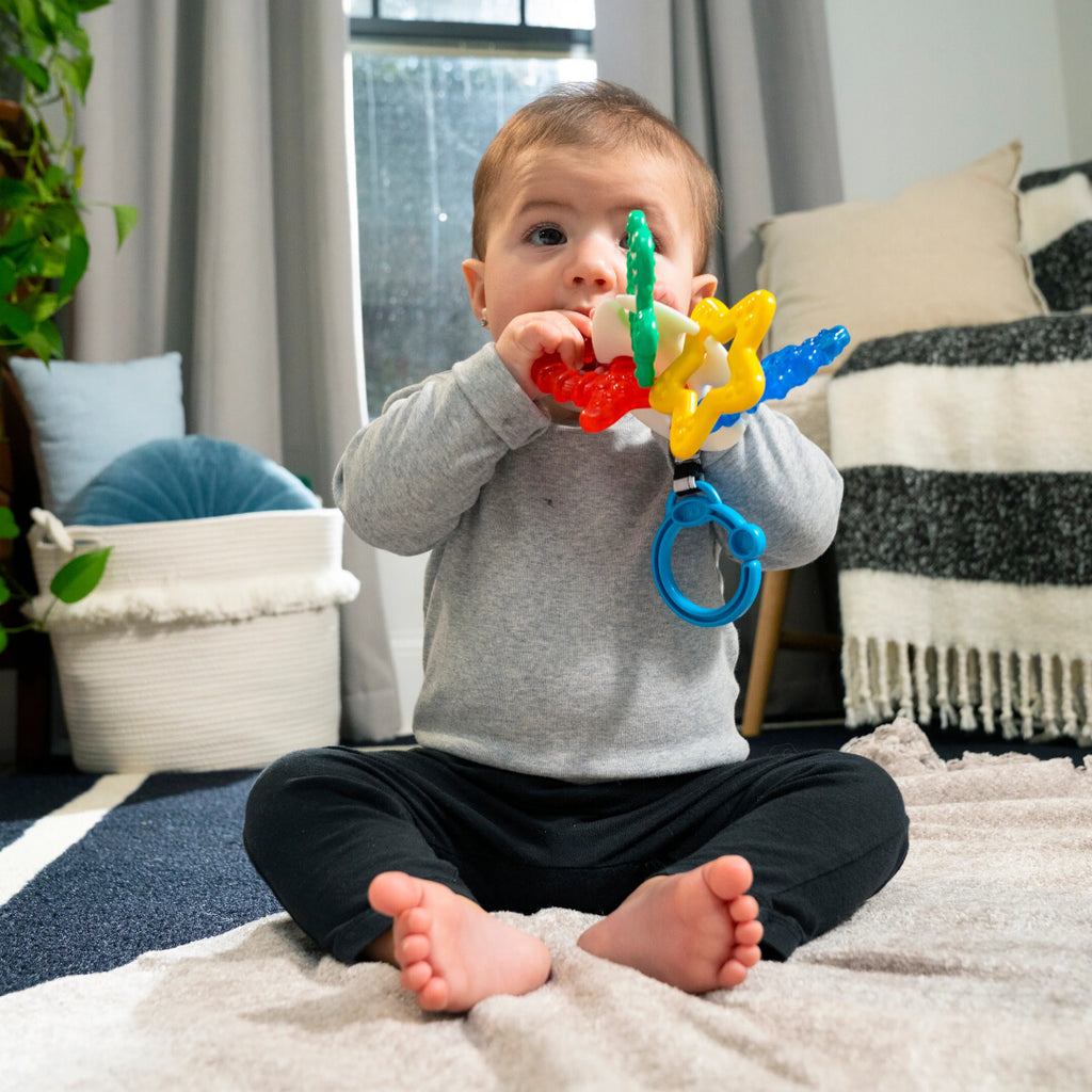 Baby Einstein - Jucarie de Dentitie Ocean Explorers Sea of Sensory