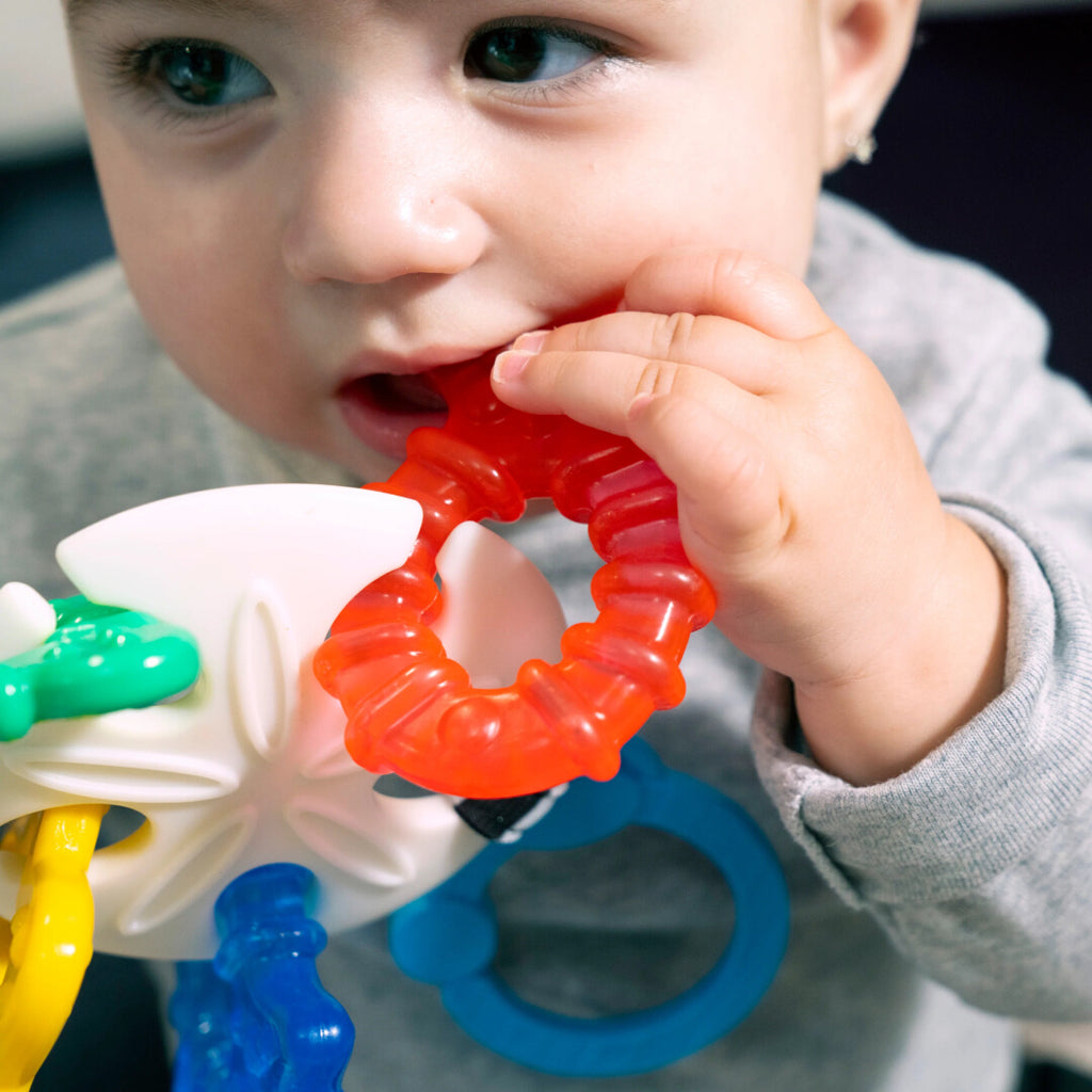 Baby Einstein - Jucarie de Dentitie Ocean Explorers Sea of Sensory