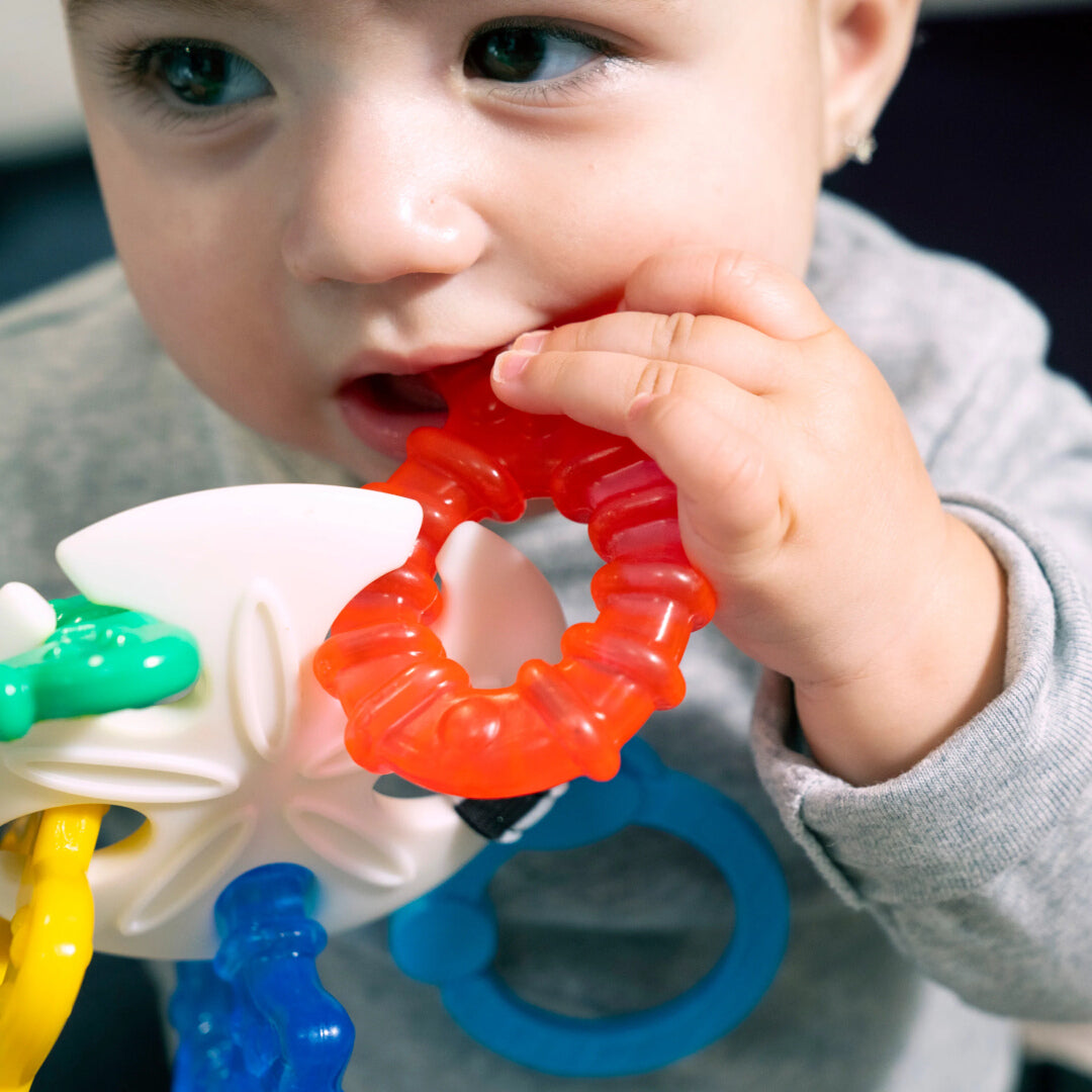 Baby Einstein - Jucarie de Dentitie Ocean Explorers Sea of Sensory